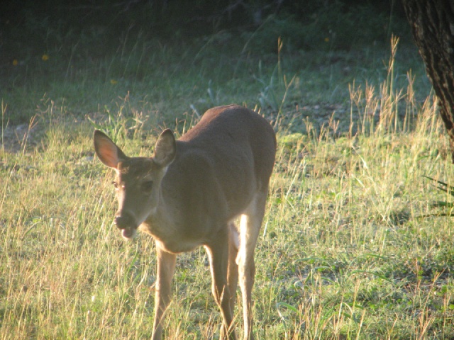 2009/10(October)/Misc/640x480_20100206 536.JPG